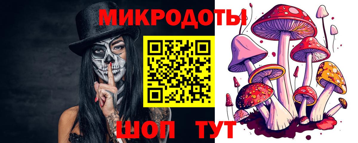 Борзя  Псилоцибиновые грибы мухоморы  Вход с VPN  Псилоцибиновые грибы MAGIC MUSHROOMS 